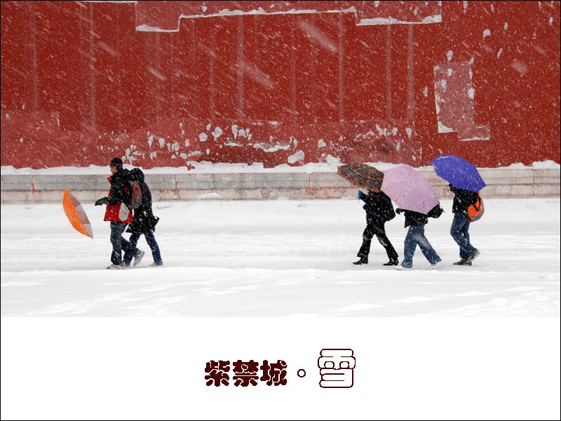 紫禁城  雪 摄影 苏州笑雨