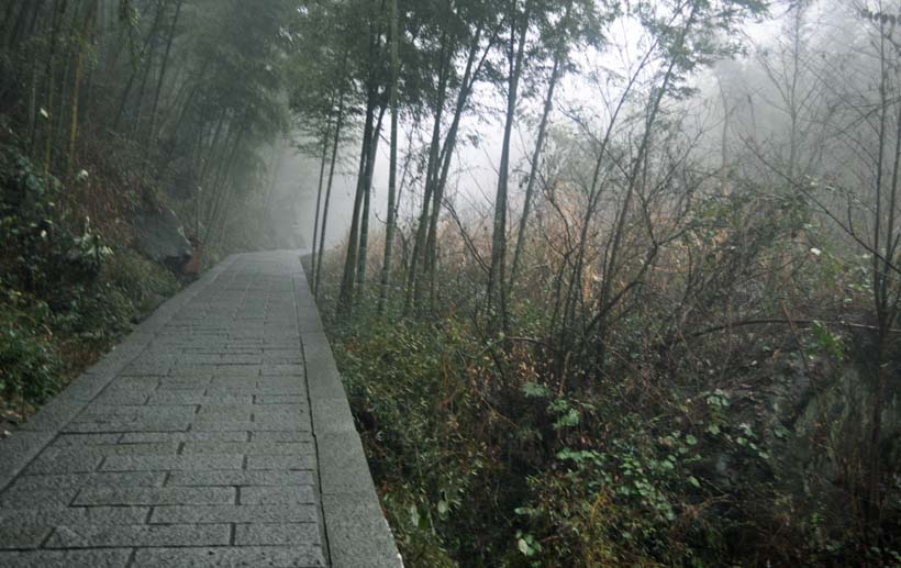 明月山 摄影 马兰草