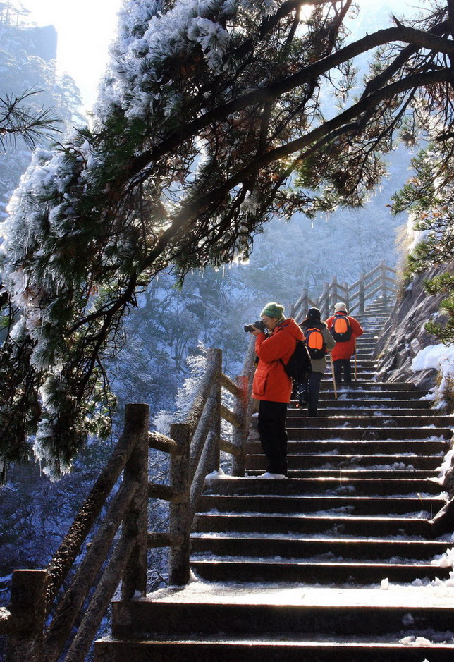 黄山雪景（4） 摄影 壹品沉香