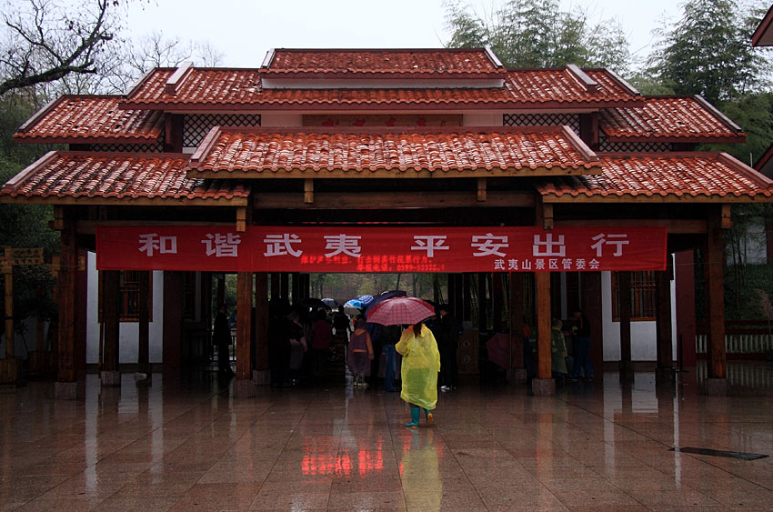 早春二月雨 摄影 老过