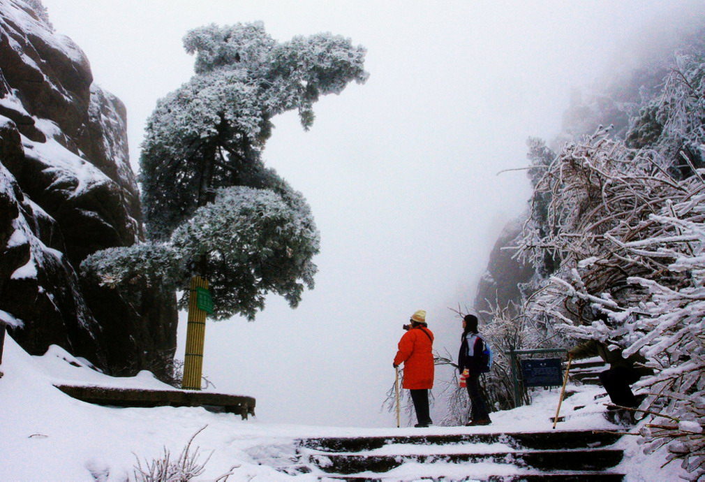 黄山雪景（5）-松.雪.雾 摄影 壹品沉香