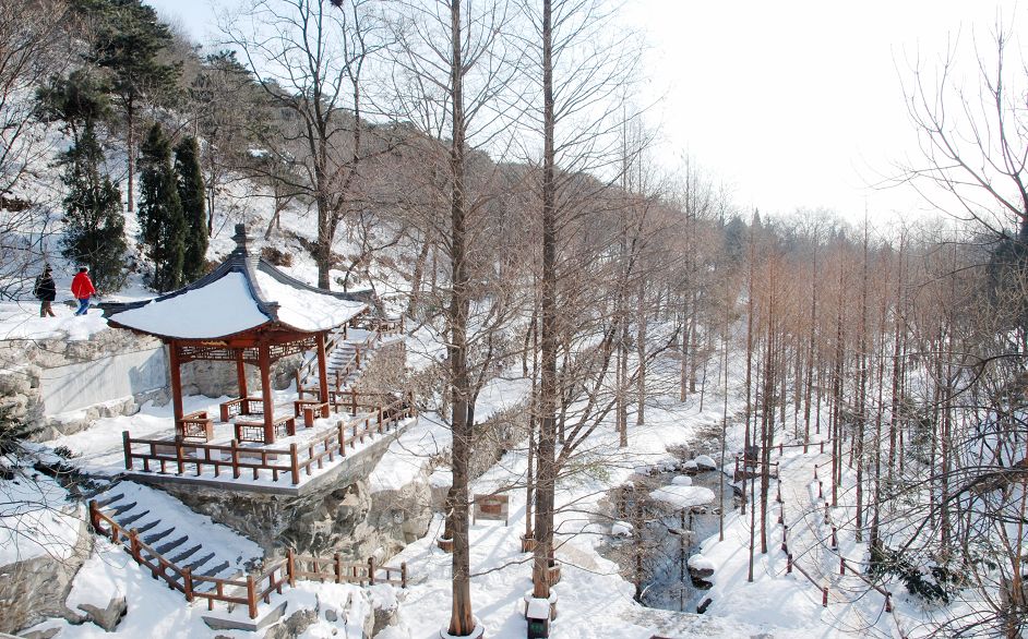 北京植物园雪景 摄影 花皮蛇