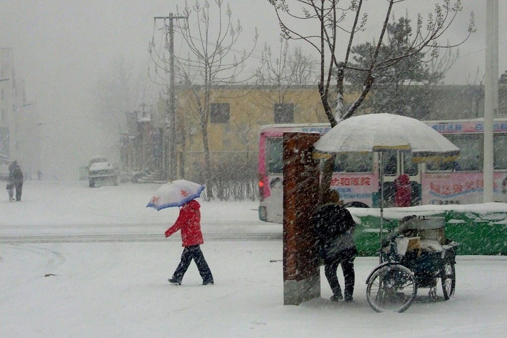 雪中即景 摄影 liran46