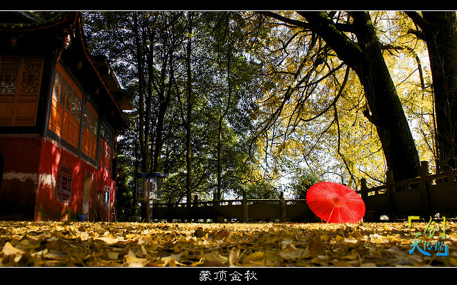 蒙顶山金秋 摄影 蜀国像素