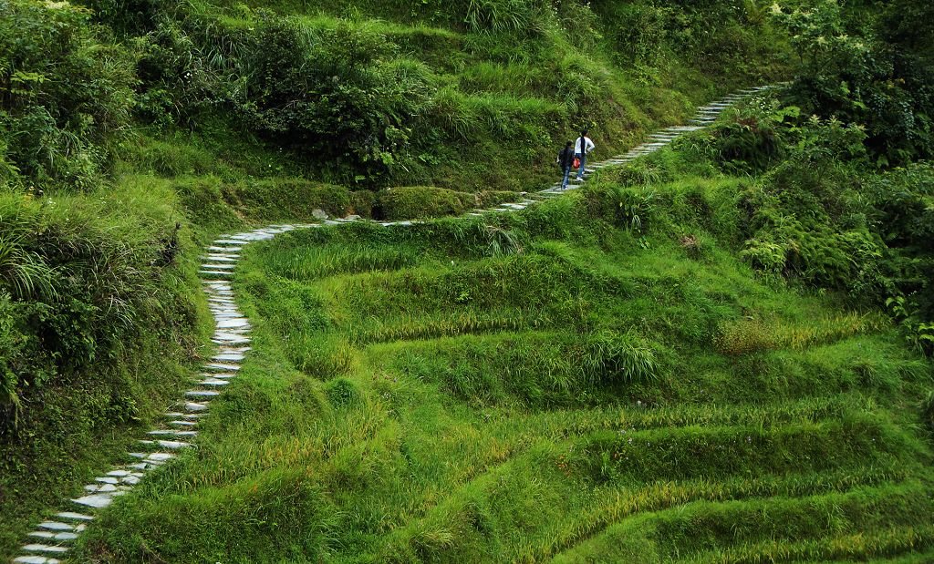 山路 摄影 细草穿沙