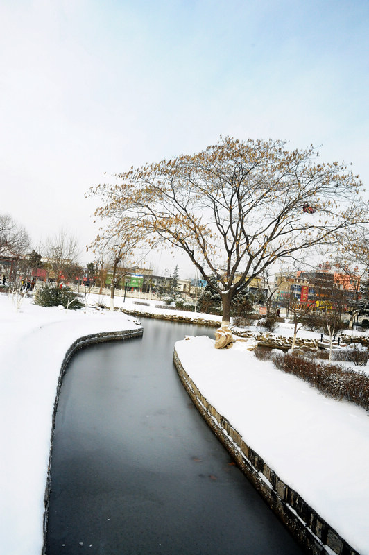 雪韵 摄影 微山湖帆影