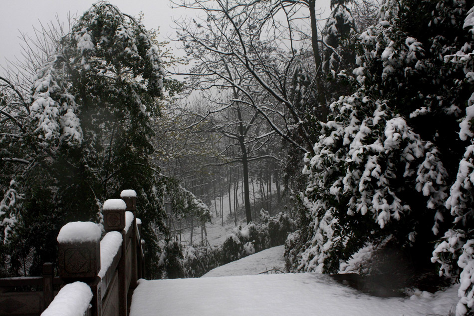 雪景之二 摄影 不倒凡