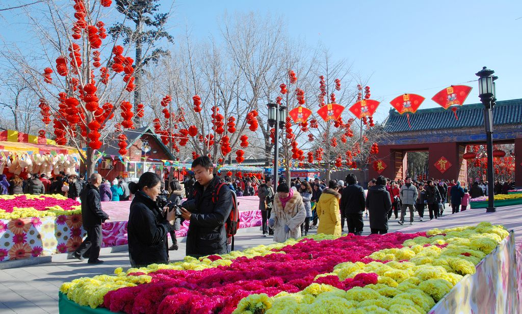 北京地坛庙会 摄影 花皮蛇