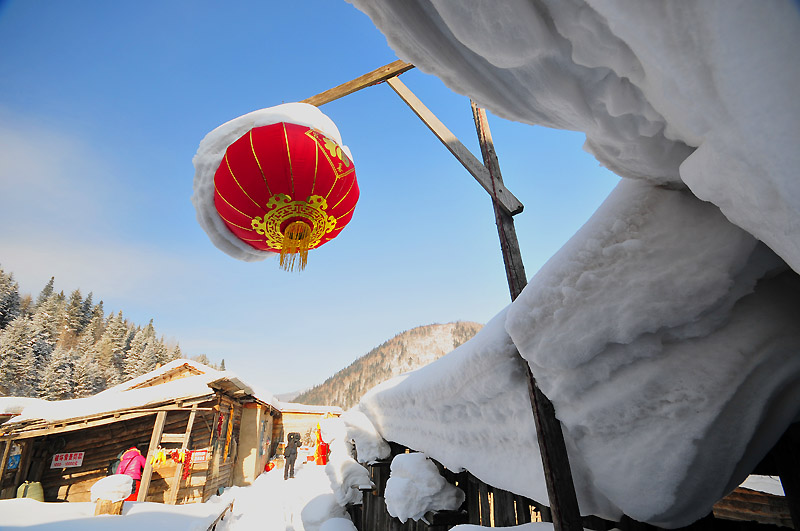 新年快乐 摄影 风雪白狐