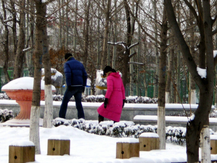 赏雪情侣 摄影 梦流水