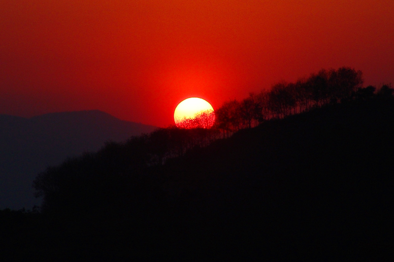 夕阳红(2) 摄影 晓岚