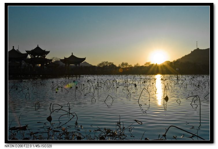 荷塘夕阳 摄影 贵州卧龙