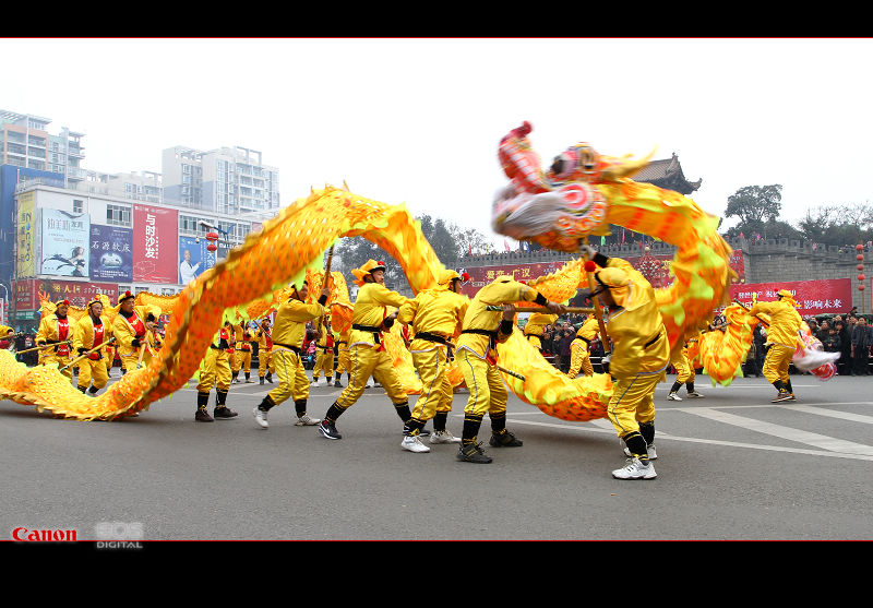 龙腾盛事 摄影 古雒城