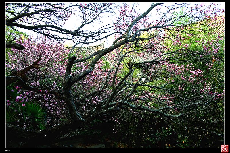 秀山 古寺风光 摄影 阳光先生