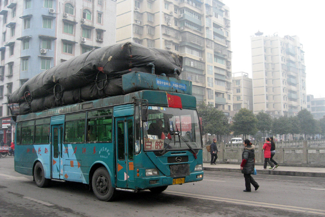 不变的公车 摄影 紫色女人