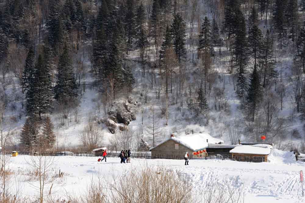 雪乡情 摄影 西北骆驼