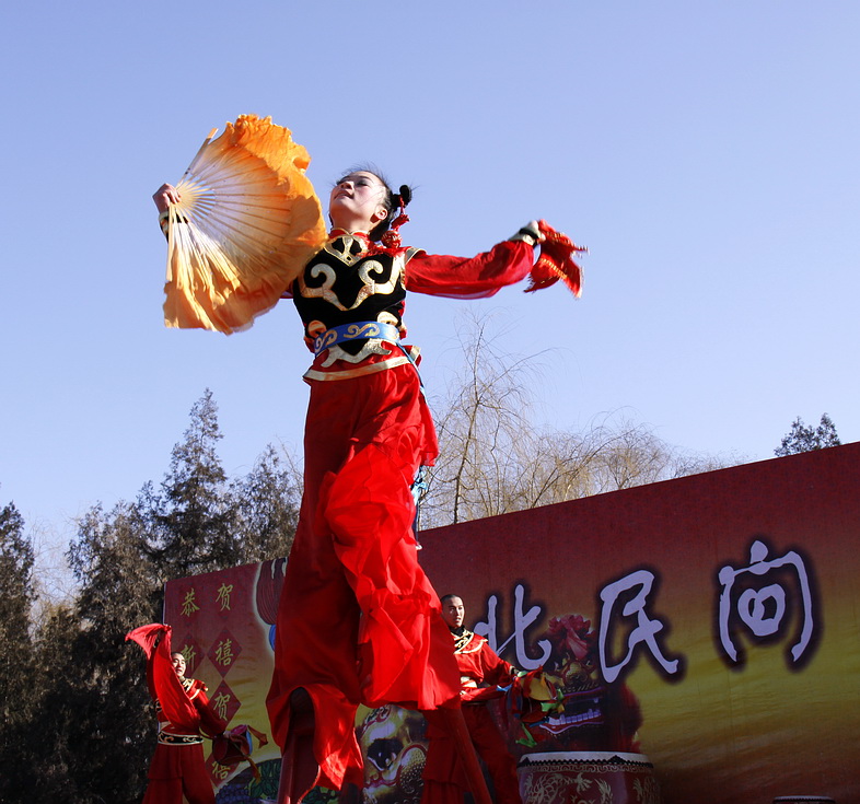 虎年庙会----地坛篇8 摄影 喜庆