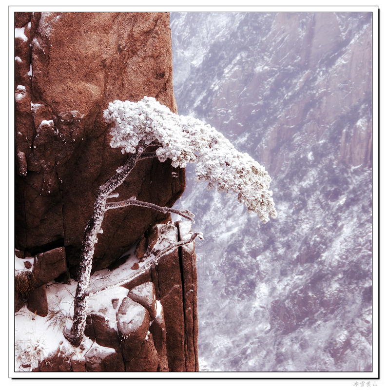 冰雪黄山（1） 摄影 千岛湖