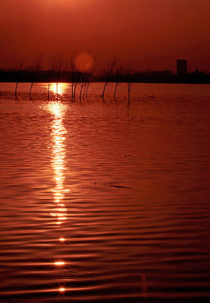 泗河夕照 摄影 造化为师