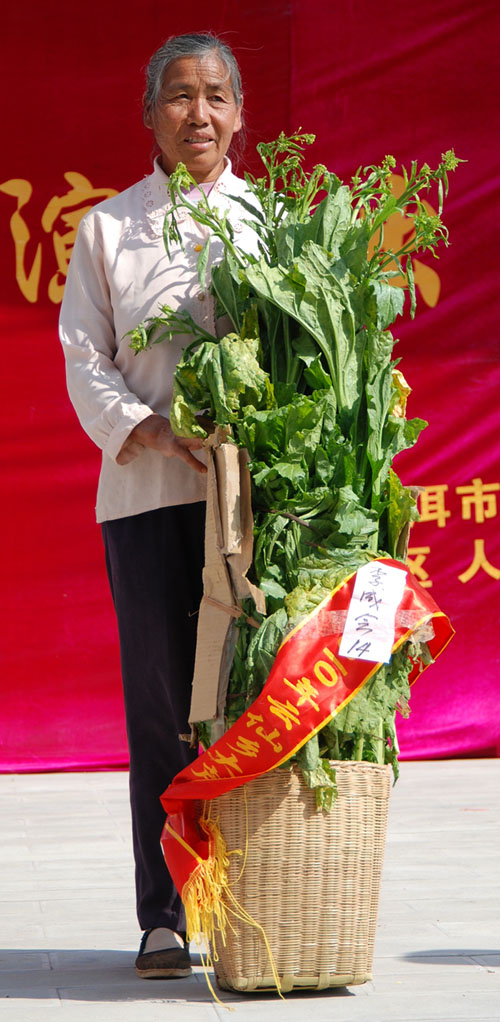 青菜节（三） 摄影 翼鸟天空