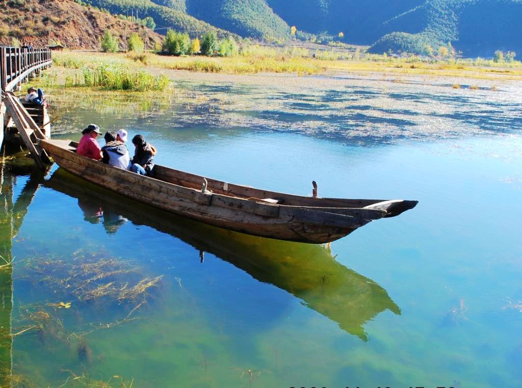 泸沽湖草海湿地 摄影 原原