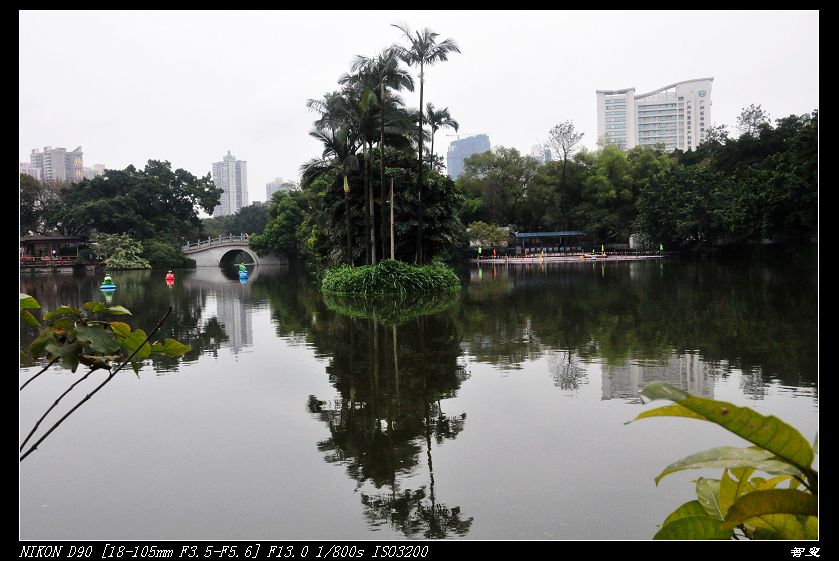 荔湾湖公园 摄影 智叟