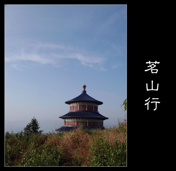 温州茗山 摄影 杜兵