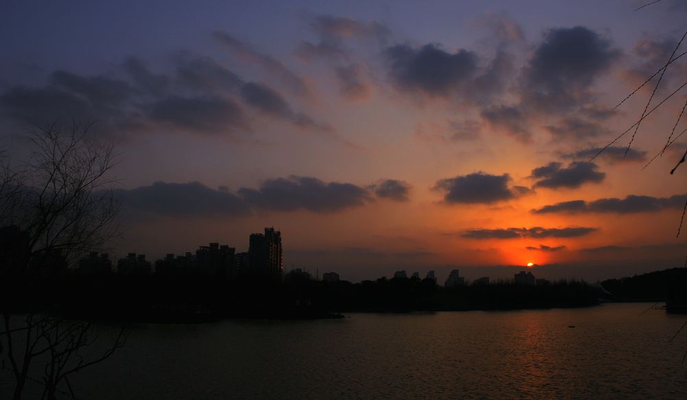 上海《大宁绿地》夕照 摄影 一枚青橄榄