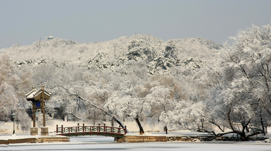 瑞雪兆丰年 摄影 华歌