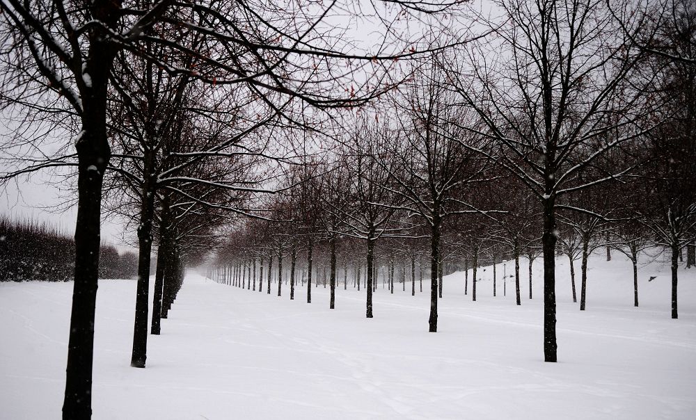 瑞雪纷飞北欧行7（斯德哥尔摩皇后岛，请点大图） 摄影 色谷饥仙