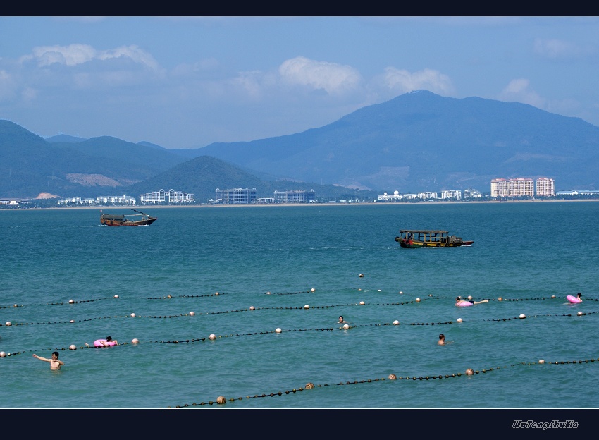 海南掠影(三) 摄影 梧桐树下.