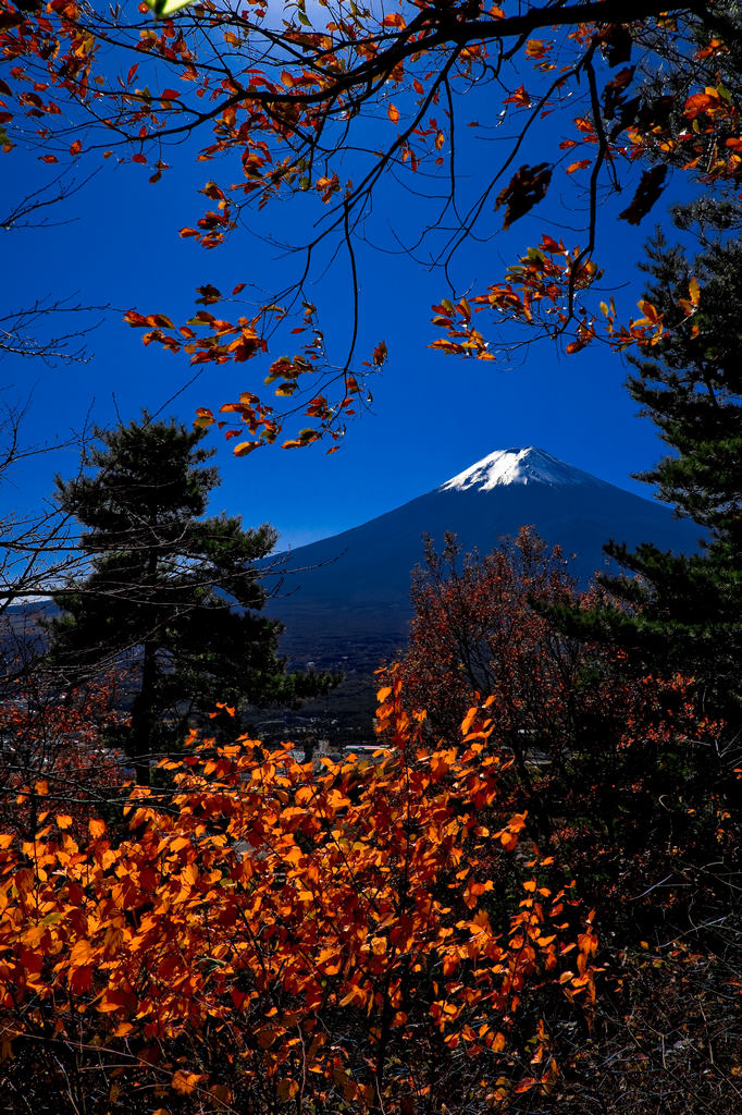 河口湖观富士山 摄影 qxs