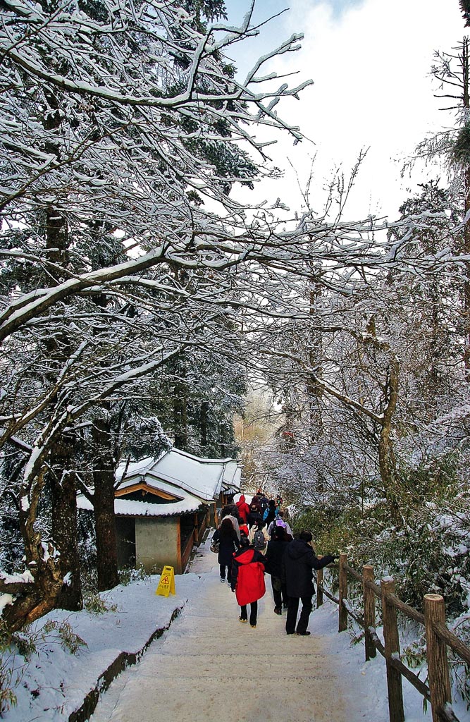 雪中行路难 摄影 石舫