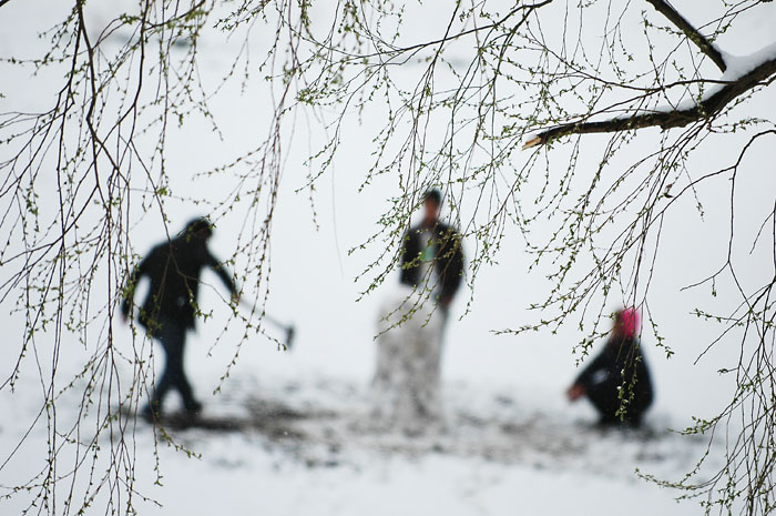 玩雪 摄影 鹤影