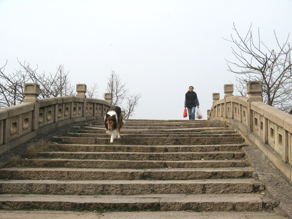 回家 摄影 傻大庆