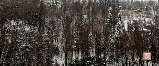 瑞雪兆丰年 摄影 大道一人