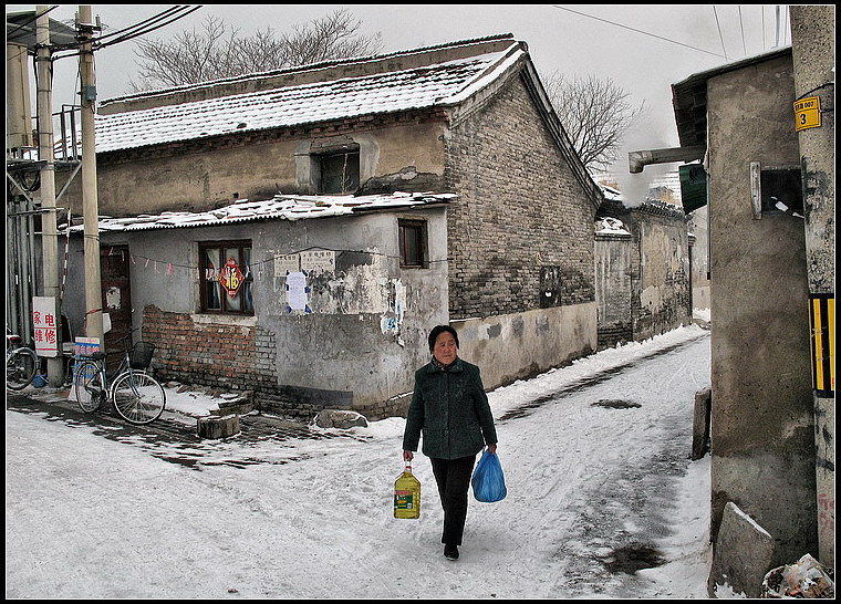 20090219-5 摄影 落花入怀