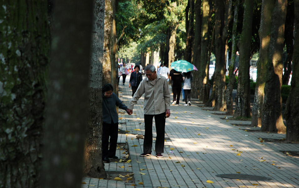 携子之手，与子偕老 摄影 愚琦