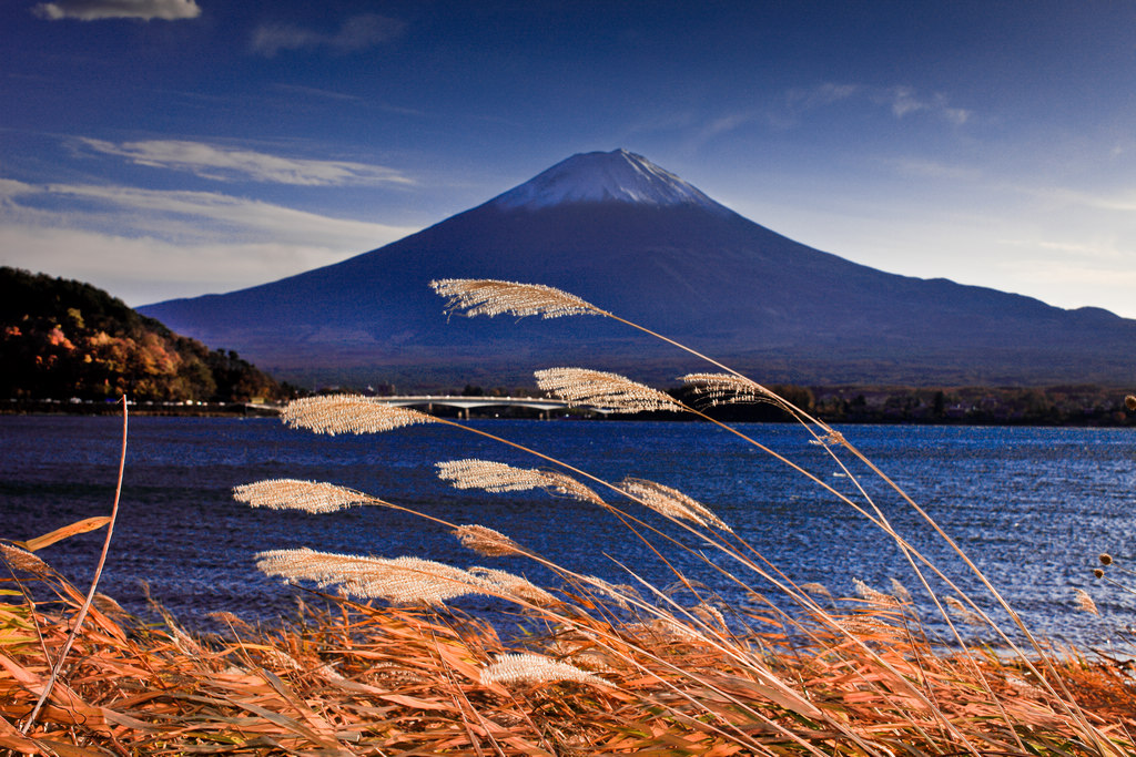 河口湖观富士山之四 摄影 qxs