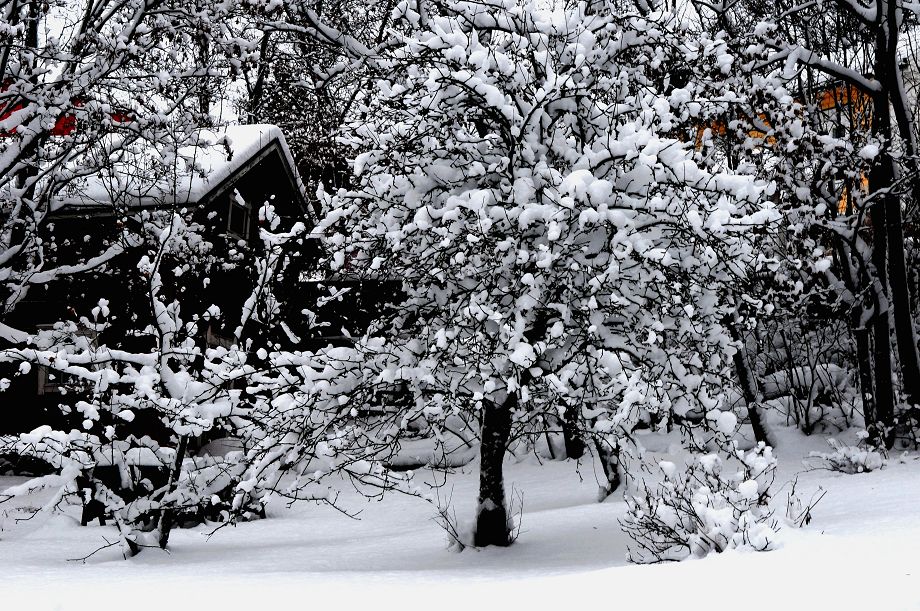 瑞雪纷飞北欧行10：（斯德哥尔摩老城民居，请点大图） 摄影 色谷饥仙