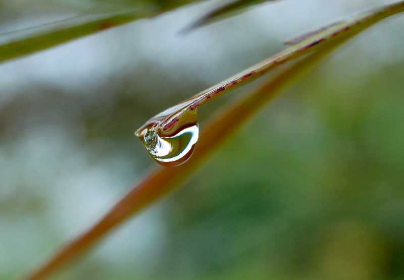 a drop 摄影 karenchenxi