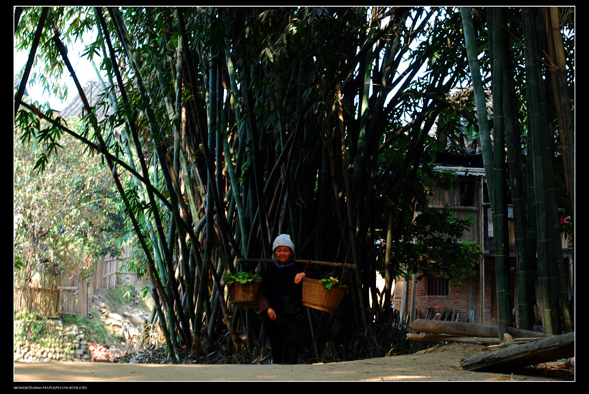 村口老农 摄影 橡树小屋