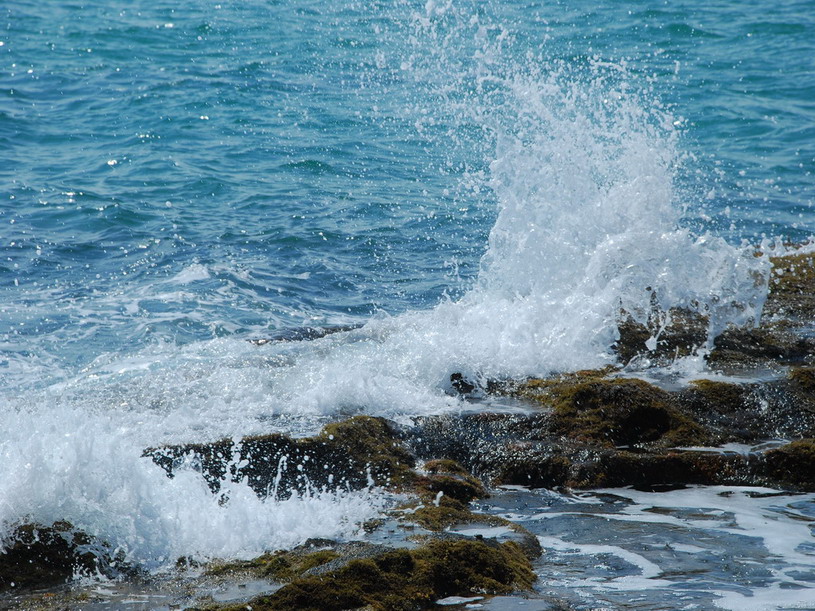 浪花 摄影 leezongke