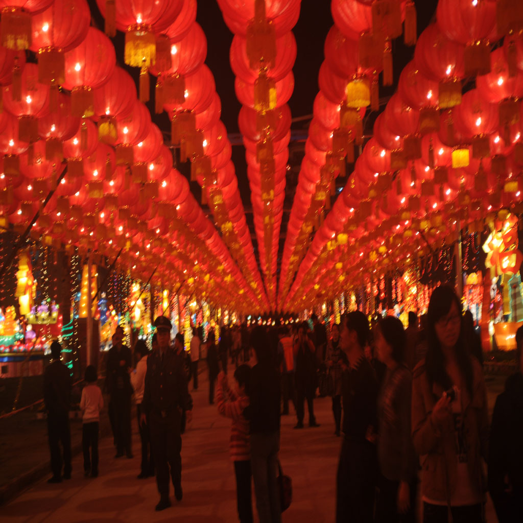 两马同春闹花灯 摄影 寒.han.