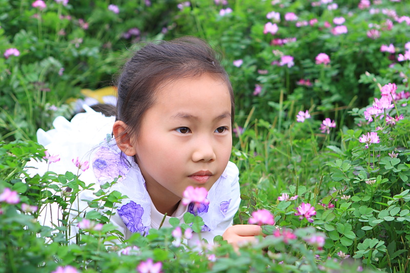 花季 摄影 蜂人