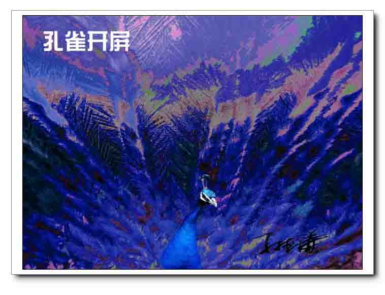 冰窗花画(风景  板画类) 摄影 大谦