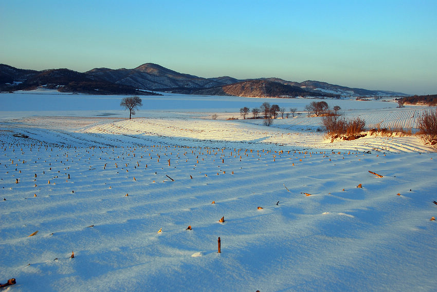 雪野 摄影 乡下表哥