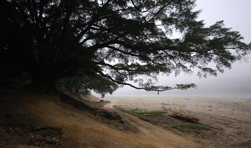 风景 摄影 橡树小屋