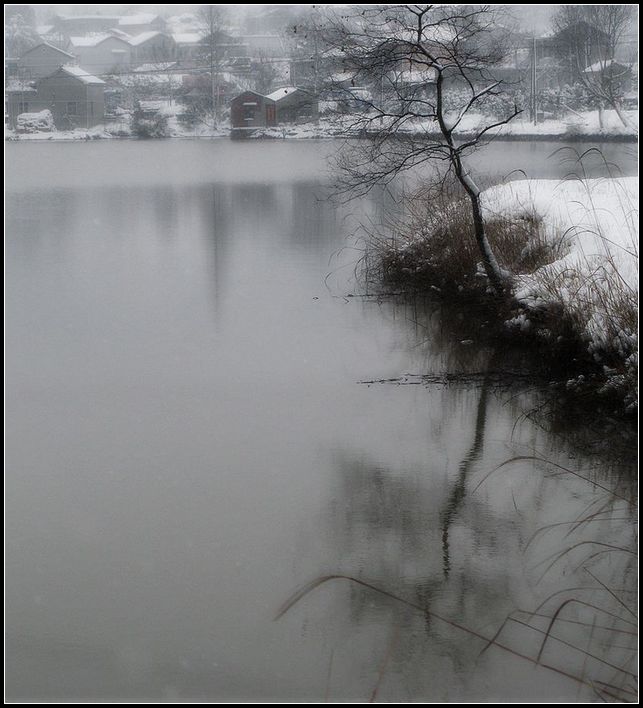 冬 ⌒　雪　 摄影 毛毛虫的眼泪