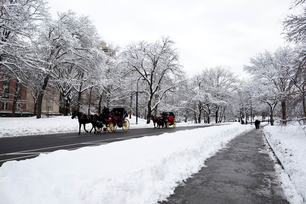 雪.马车.行人 摄影 kuangkee